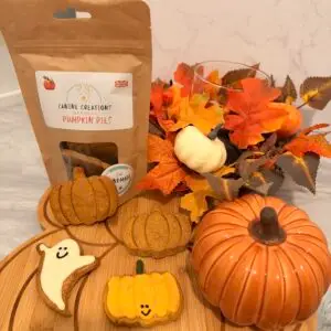 Halloween Treats Bundle